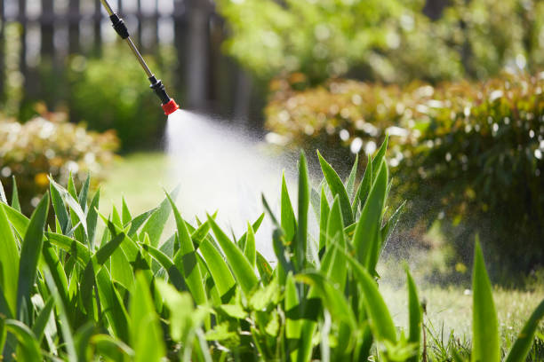 24/7 Emergency Mosquito Control experts in Hillsdale, NJ