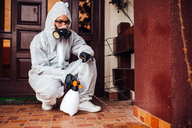 Reliable Mosquito Control contractor in Hillsdale, NJ by Show Me Pest Control